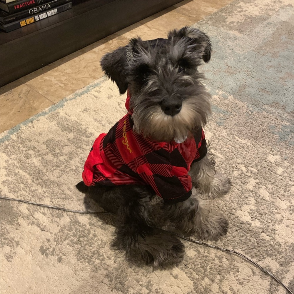 Meet your Posher, Camille